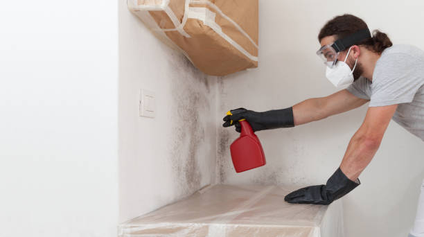 Professional Mold Removal technician working in Zieglerville, PA