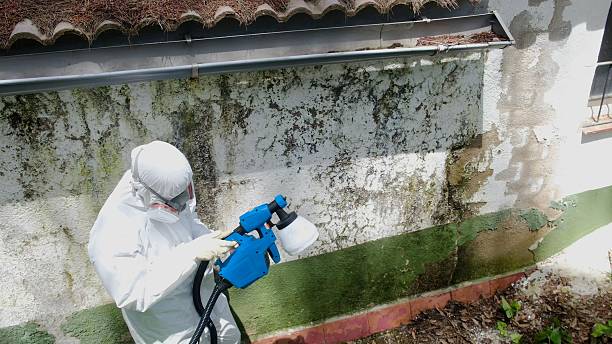 Top rated local Mold Removal specialists in Zieglerville, PA